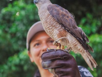 Corito Verde 2024 (4)